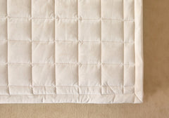 ☃ 秋冬 SOFT MINK柔軟絨毛固定帶床墊/5色