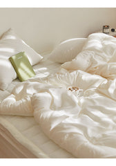 ☃ 秋冬(淨色)雙面<一面絨毛一面無塵>雲朵被-3色